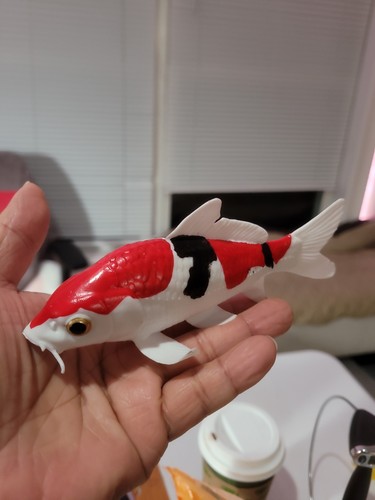Fish koi carp - fish, showa