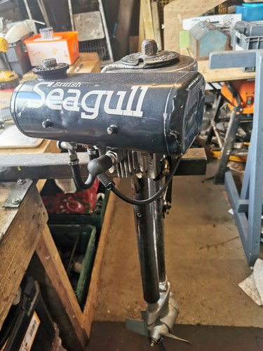British seagull clean - british,