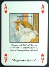 1 x playing card Magnificent