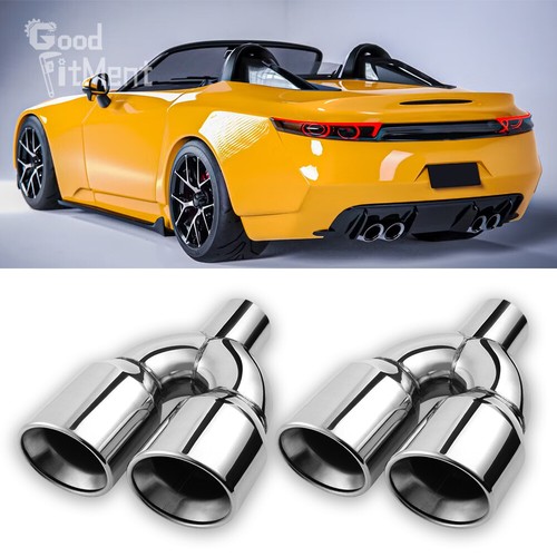 Dual exhaust pipe - exhaust,