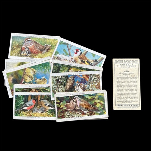 John player cigarette - player, cards