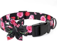 Fancy floral dog - fancy,