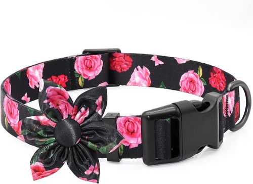 Fancy floral dog collar with - fancy,