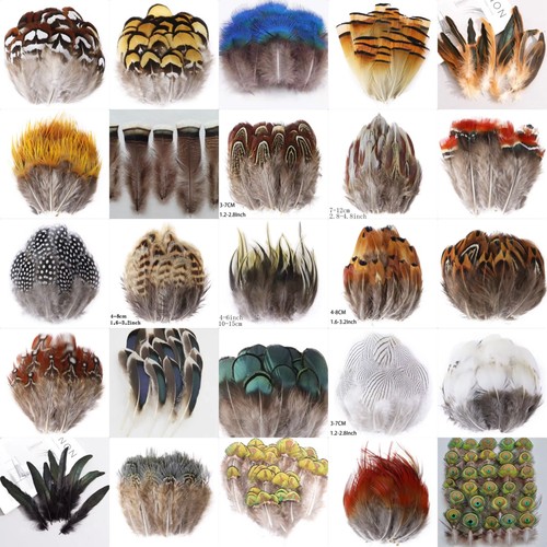 Types natural feathers - 25,