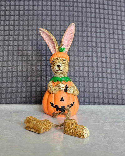 Jasper rabbit pumpkin - jasper,