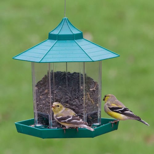 Bird feeders large hanging - bird,