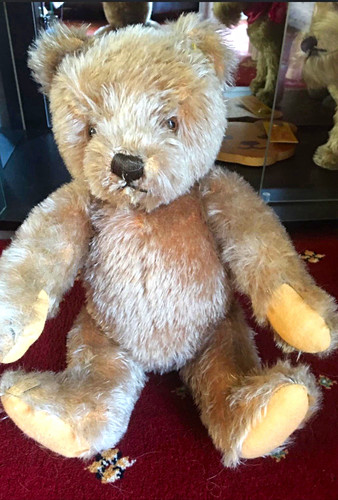 Steiff 50s caramel teddy bear - steiff,
