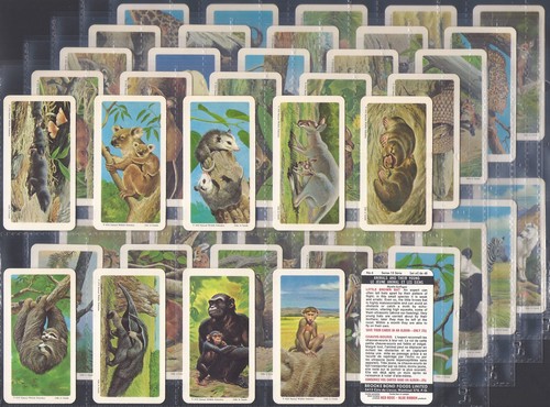 Brooke bond full set - brooke,