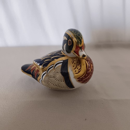 Royal crown derby carolina - royal,