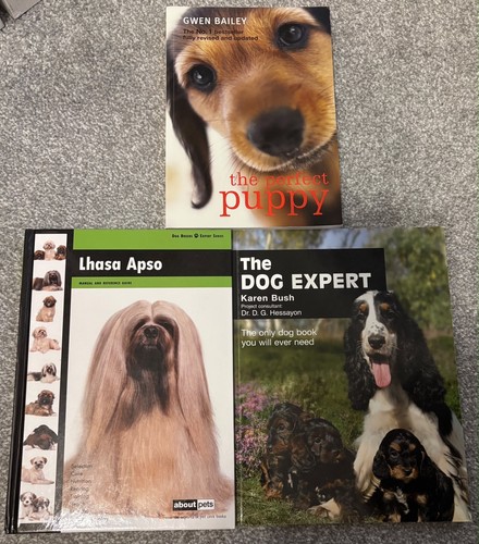 Lhasa apso puppy training - puppy,