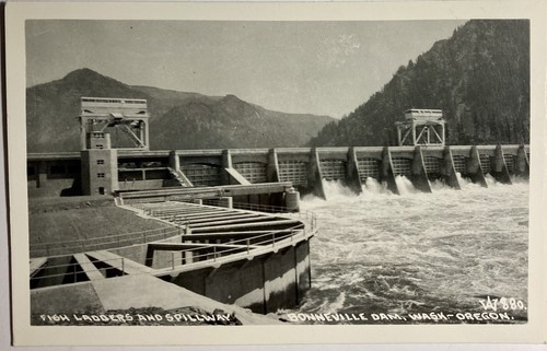 Bon neville dam - bon,