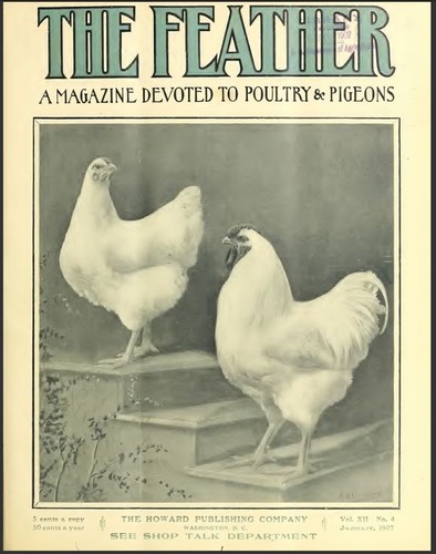 The feather poultry magazine - the,