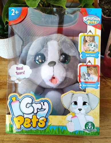 Cry pets puppy - pets, love