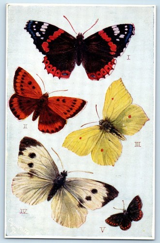 C1910 british butterflies - c1910's,