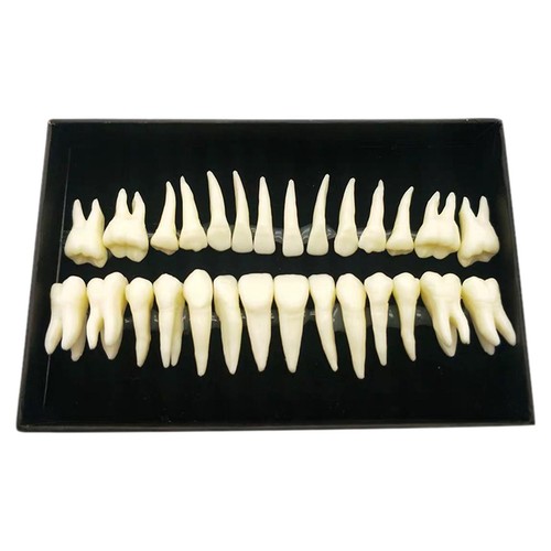 28pcs acrylic prosthesis false - acrylic,