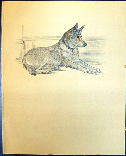 Original old vintage print - old,