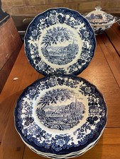 Royal worcester palissy avon - 6,