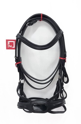 Anatomical leather show patent - show,