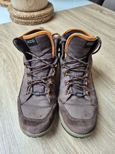 Ecco receptor tech - uk,