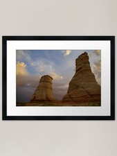 The Elephant Feet Framed Art