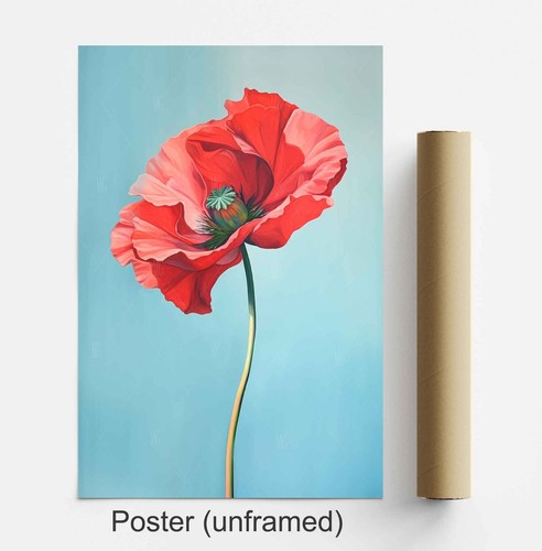 Red poppy flower stretched - flower,