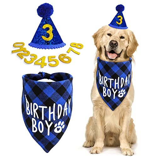 Cobee dog birthday bandana hat - birthday,