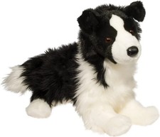 Douglas Chase Border Collie