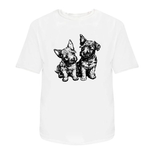 Cute scottish terrier - 'cute,
