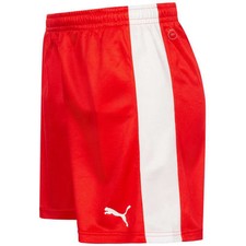 Puma dryCell Pitch Shorts With Inner Brief - Red & White - Size Medium