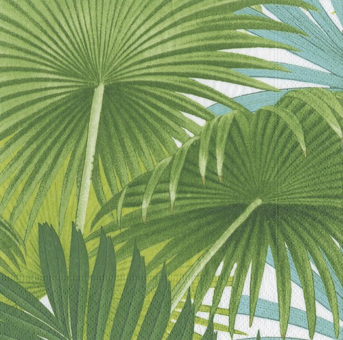 Palm fronds leaves green - palm,