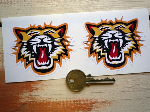 Tiger head roaring - head,