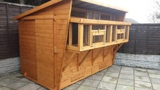 12 x 6 Pigeon Loft with Netted