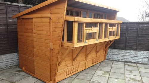 Pigeon loft with netted - 12,