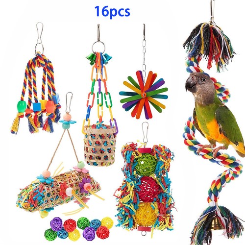 16x bird parrot shredding - bird, toys