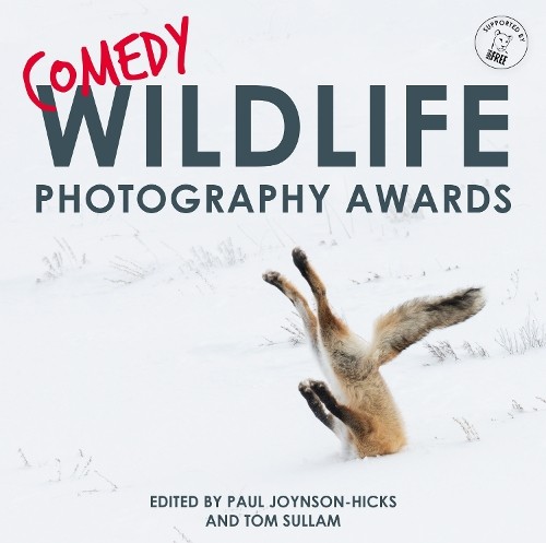 Comedy wildlife photography - comedy,