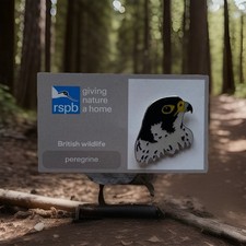 RSPB-Pin Badge  PEREGRINE   On