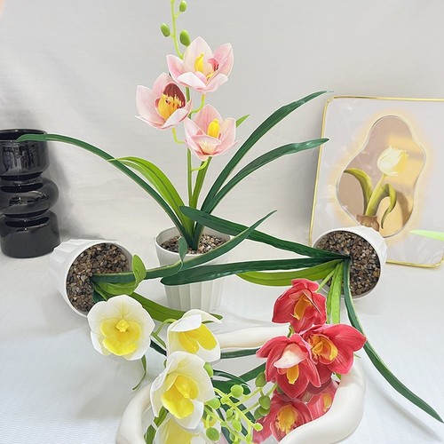 Pack realistic cymbidium - 3,