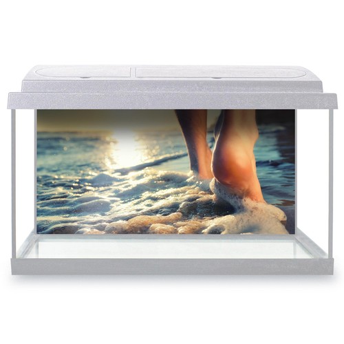 Fish tank background beach - fish,
