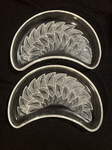 Rare ormeaux by rene - rare,