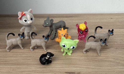 Cat kitten animal bundle - cat,