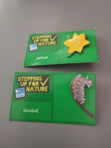 Rspb sufn daffodil and - rspb,