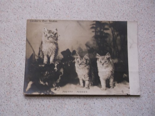 Raphael tuck postcard - raphael,
