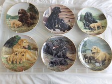 Nigel Hemming Decorative Labrador Plates