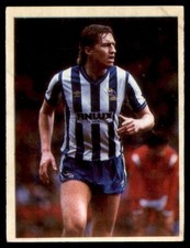 Lee Chapman Sheffield Weds
