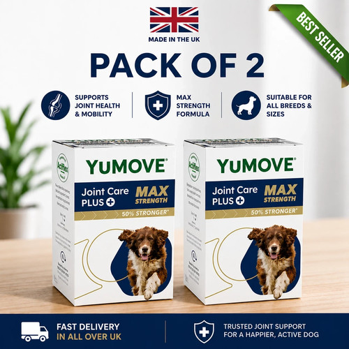 Yumove senior dog max - 2x,