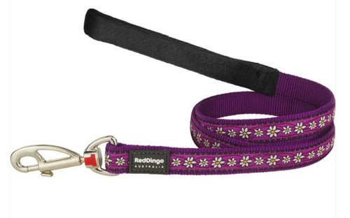 Red dingo purple - red,