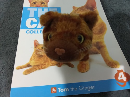 The cat artist collection tom - cat,