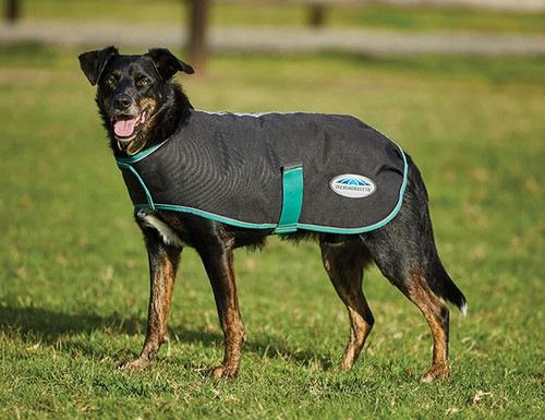 Weatherbeeta green tec - green-tec, dog