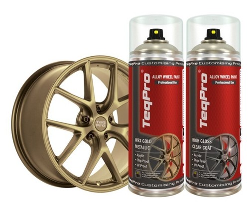 Alloy wheel paint - wheel, renault