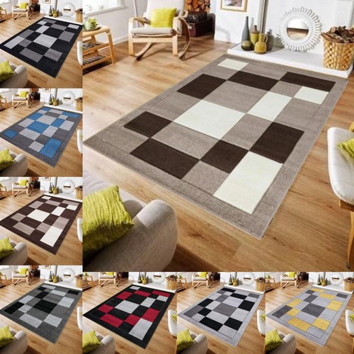 Large living room area - large, rugs
